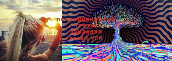 гидропоника Арсеньев
