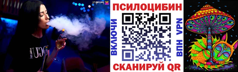 Псилоцибиновые грибы Cubensis  купить наркоту  Венёв 